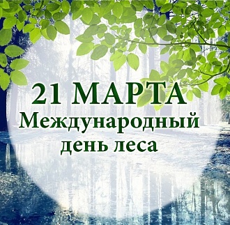 21 марта – Международный день леса!