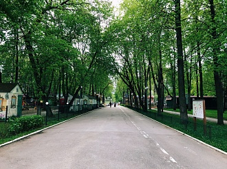 Парк Горького обработан от клещей
